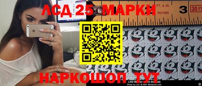 молекула духа Донской