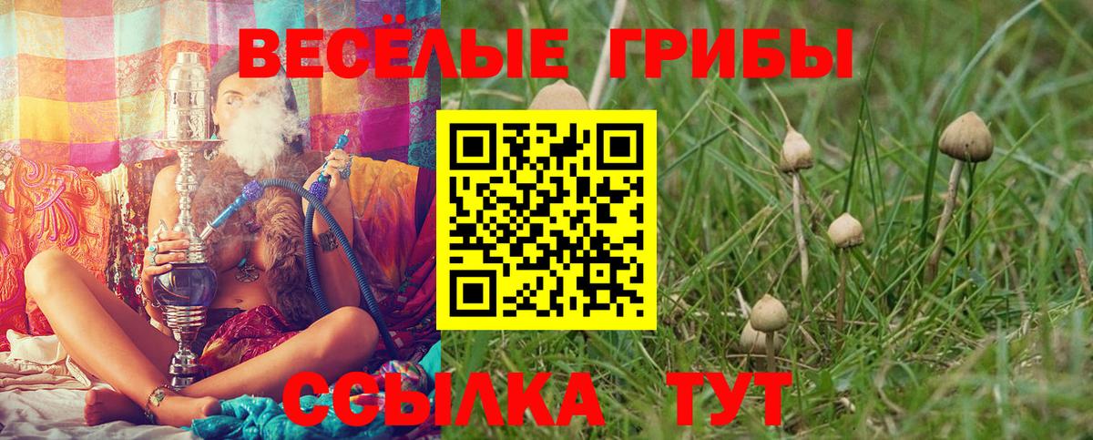 наркошоп  Вход с VPN  Мичуринск  Галлюциногенные грибы ЛСД 